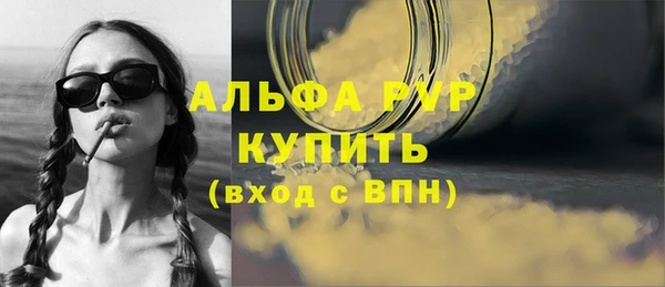 дмт Краснослободск
