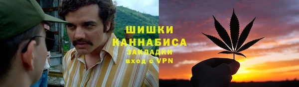 дмт Краснослободск
