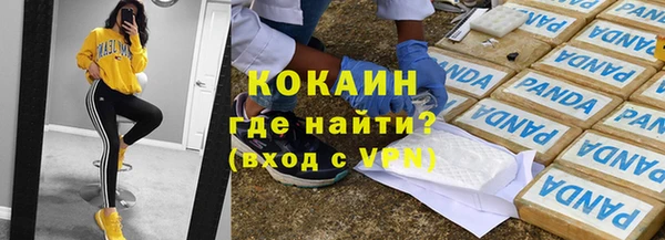 дмт Краснослободск
