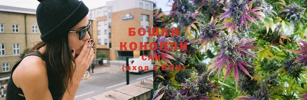 дмт Краснослободск