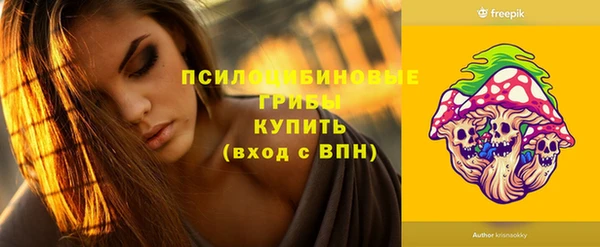 дмт Краснослободск