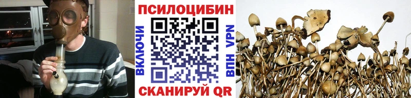 Купить где  Белозерск  Галлюциногенные грибы MAGIC MUSHROOMS 